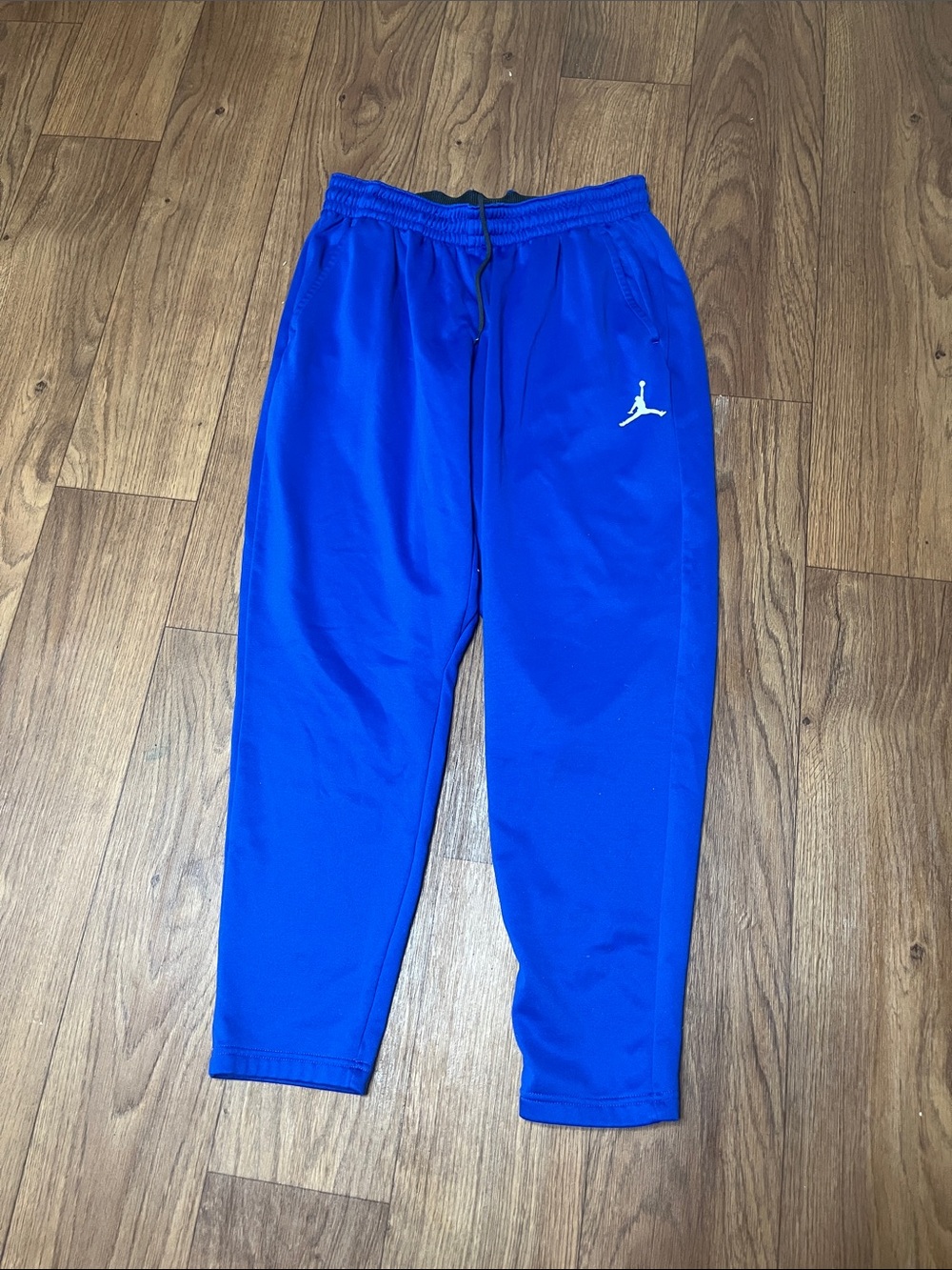 Jordan Men's Bright Royal Blue Performance Joggers